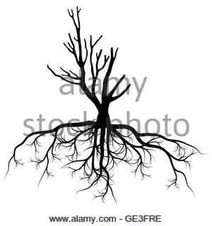 Twisted Tree Silhouette at GetDrawings | Free download