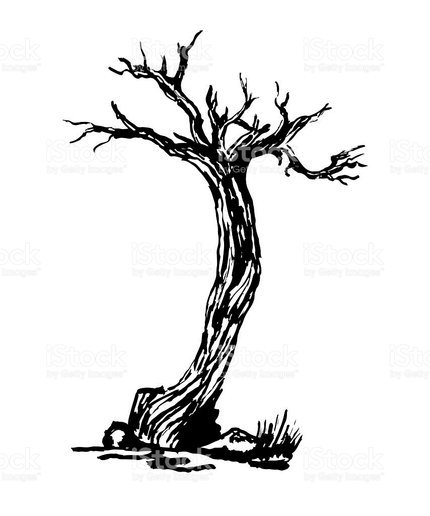 Twisted Tree Silhouette at GetDrawings | Free download