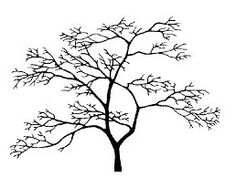 236x178 Tree Swing Twisted Art Swings