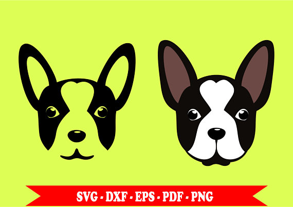 570x403 Svg Dog Head Little Dog's Face Svg Two Clip Art In Svg