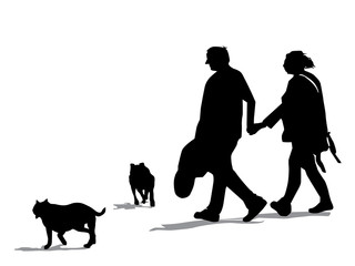 320x240 Search Photos By Gordon