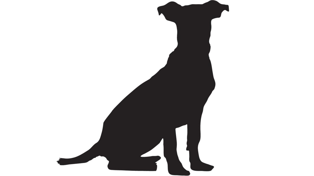 1280x720 Detective Finds Decapitated Dog, Two Other Dead Dogs In Liberty