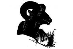 250x167 Wildlife Metal Art Ranch Signs, Gates, And Custom Metal Art By