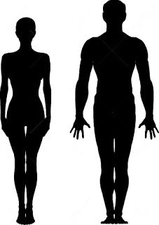 227x320 Stripoteka 1110 Od Zvezda (Marketprint) Happynovisad