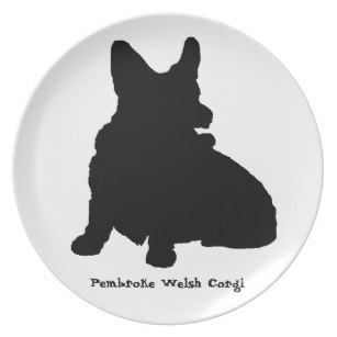 307x307 Frisbee Plates Zazzle