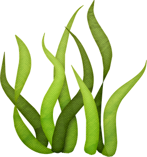 286x306 Tall Grass Silhouette Clip Art Sgblogosfera.