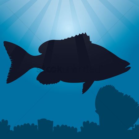 450x450 Free Underwater Silhouette Stock Vectors Stockunlimited