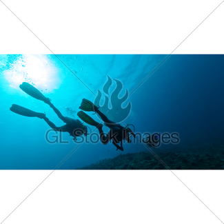 325x325 Group Of Scuba Divers Underwater Gl Stock Images