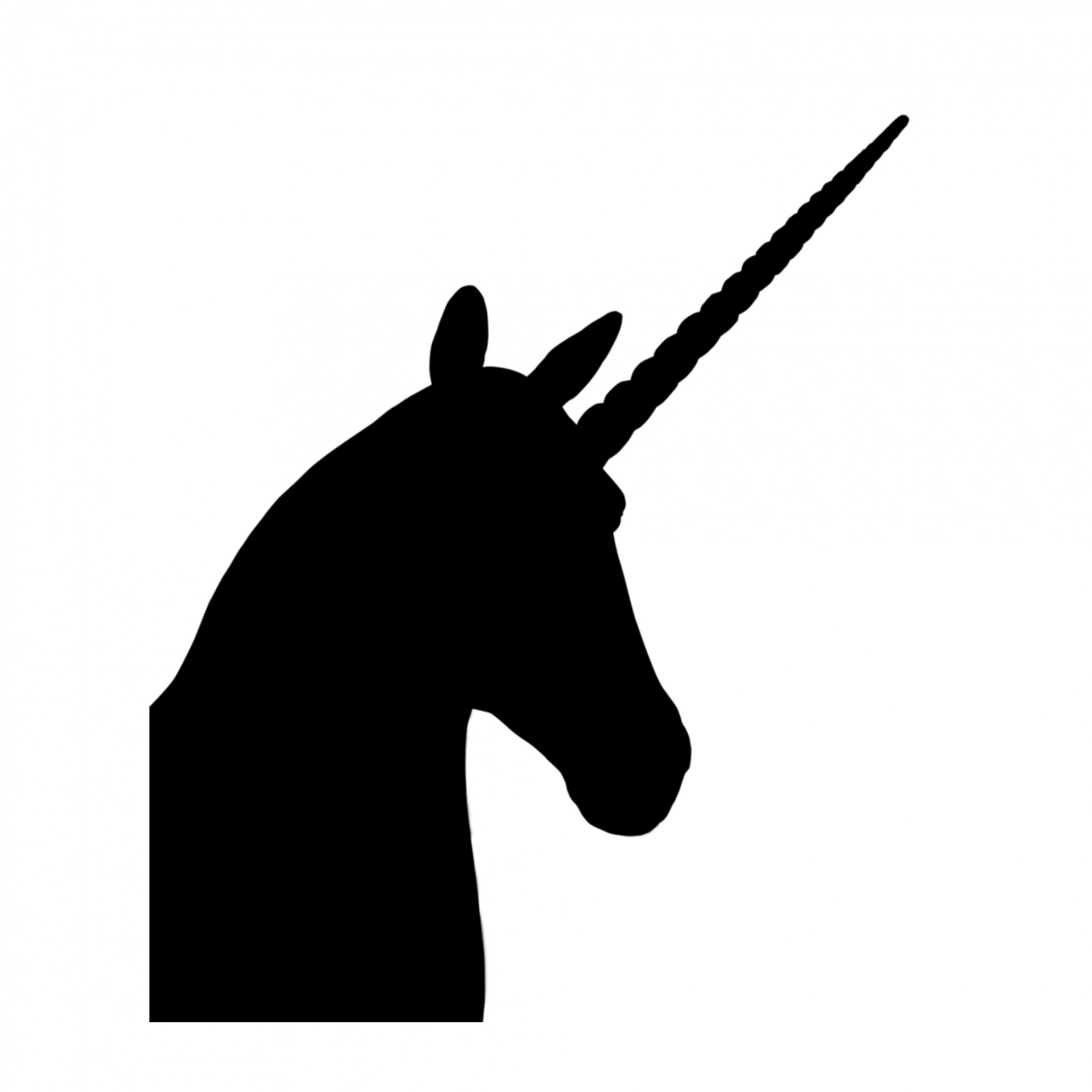 1920x1920 Unicorn Silhouette Free Stock Photo