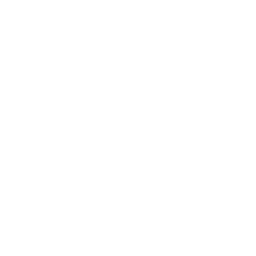 256x256 Male University Graduate Silhouette With The Cap