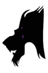 156x234 Scar (Silhouettes Side View By Unknown)