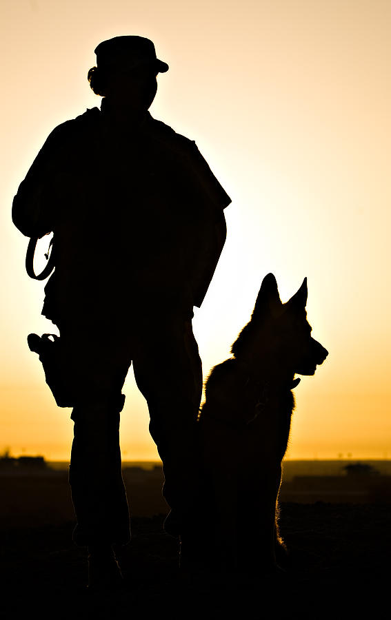 567x900 Military Working Dog Clipart