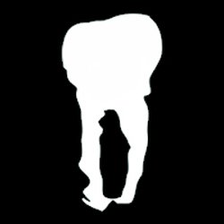 250x250 Wallingford Family Dentistry