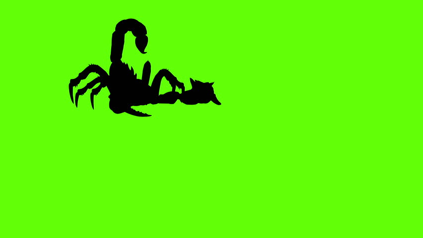 852x480 Us Navy Planes Attack A Convoy Of Japanese Ships Through Bombs