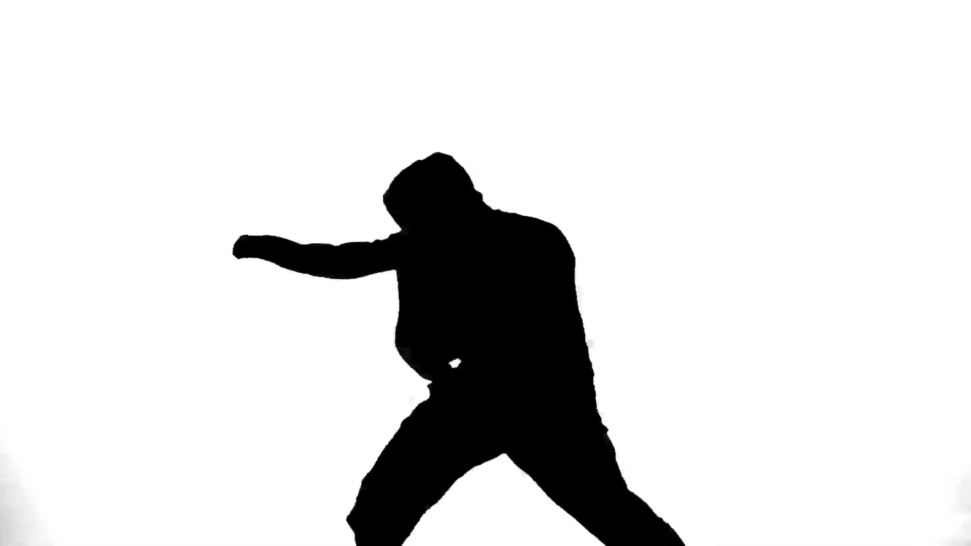 1920x1080 Japanese Company Makes Virtual Shadow Boyfriends To Help Protect