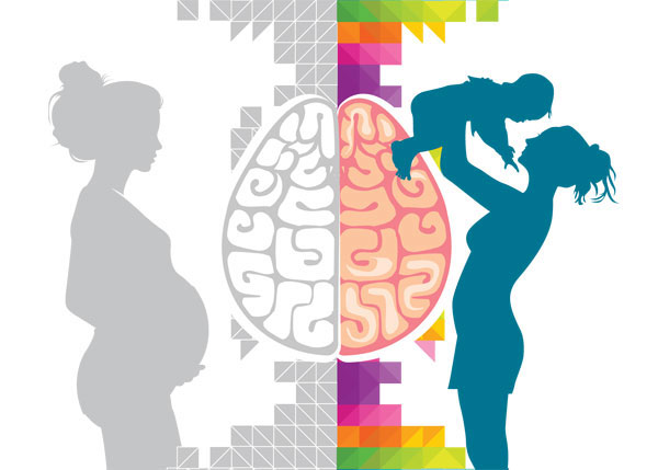 600x429 Brains On Hormones