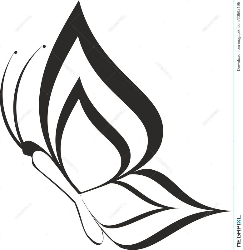 778x800 Vector Butterfly Silhouette Illustration 23562195