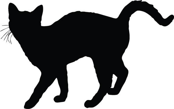 600x375 Cat Silhouette's Silhouette S, Cat Silhouette And Silhouettes