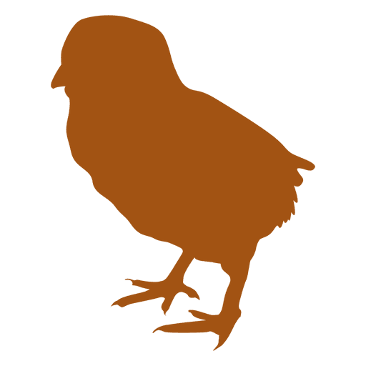 512x512 Young Chicken Silhouette