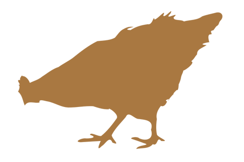 500x333 Chick Silhouette Public Domain Vectors
