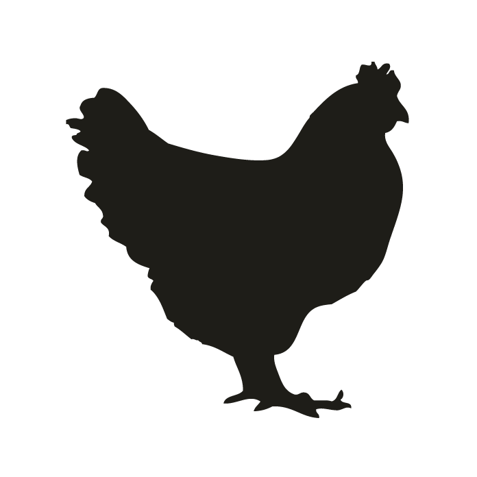 696x696 Chicken Silhouette Png