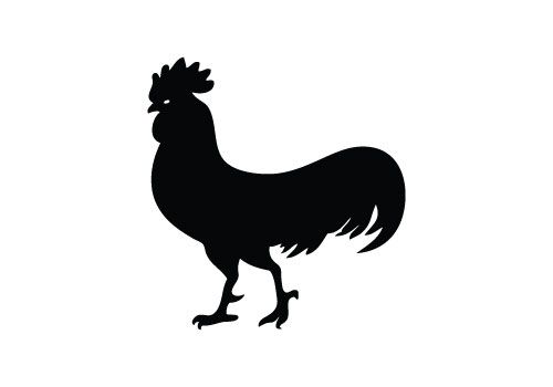 500x350 Chicken Silhouette Vector Download Silhouette Graphics Cricut