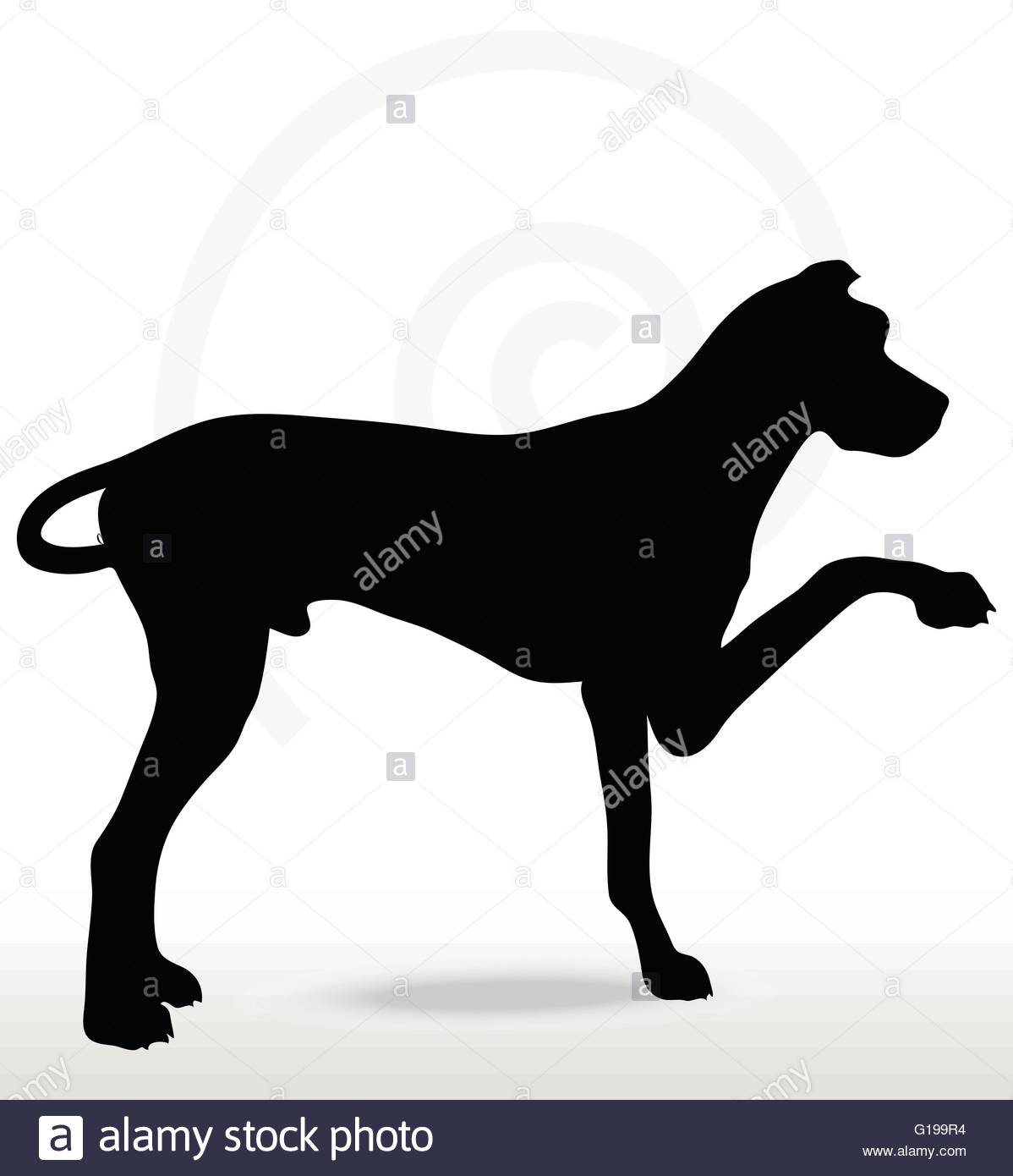 1198x1390 Vector Image