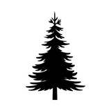 160x160 Pine Tree Stock Image And Royalty Free Vector Files On Fotolia