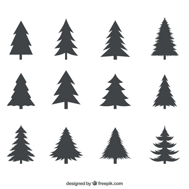 626x626 Pine Tree Vector Pine Tree Vector Silhouette