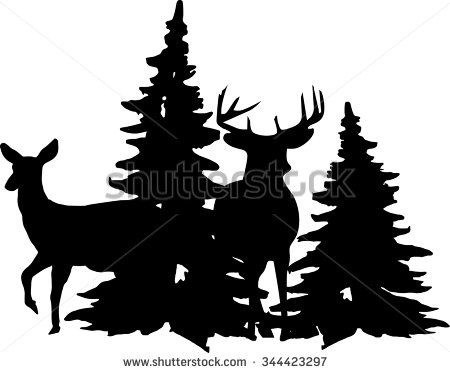 450x373 Whitetail Buck And Doe Standing Near Pine Trees. Stock Vector