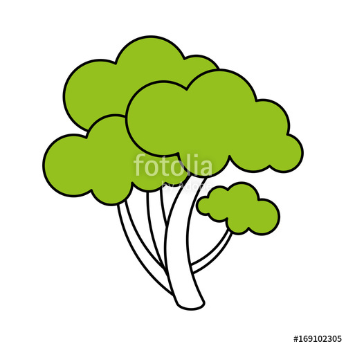 500x500 Healthy Vegetable Broccoli Illustration Vector Icon Design Graphic