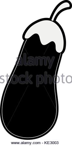 232x470 Eggplant Aubergine Vegetable Icon Image Vector Illustration Design