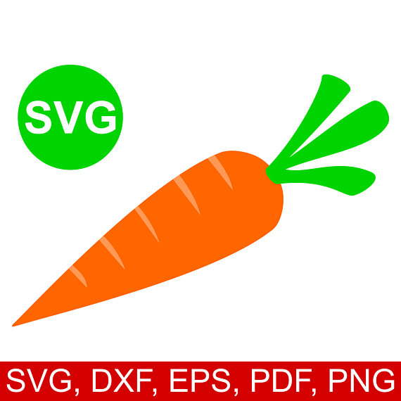 570x570 Carrot Svg File, Carrot Dxf, Carrot Clipart, Carrot Printable