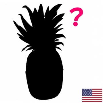 358x358 Fruits And Vegetables Silhouette Quiz (English) Education App