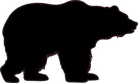 463x280 3in X 2in Bear Silhouette Sticker Vinyl Wildlife
