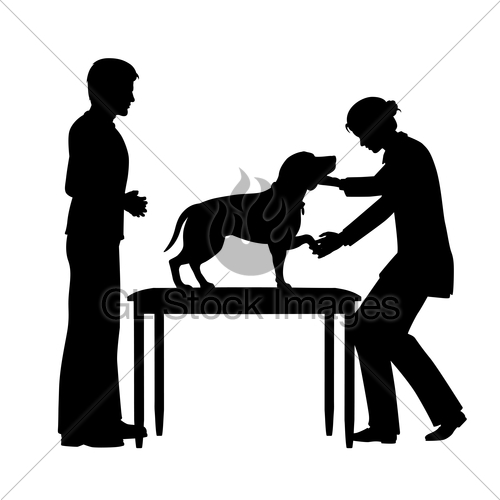 500x500 Female Vet With Dog Gl Stock Images