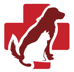 300x293 Veterinarian In Fort Smith, Ar Labahn Veterinary Hospital