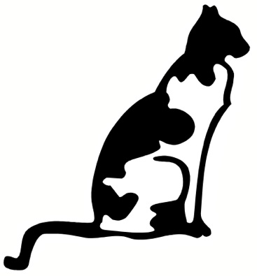 367x395 Nmnwse Careers Book31. Veterinary Science