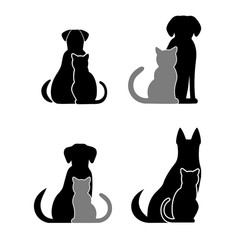 240x240 Search Photos Veterinary Symbol