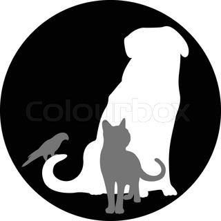 320x320 Set Cartoon Veterinary Icons For Pet Help Stock Vector Colourbox