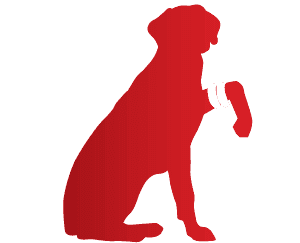 300x243 South Riding, Chantilly 247 Animal Emergency Hospital