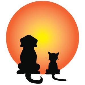 300x300 Veterinary Assistant Or Rvt Jobs Vetmed Careers