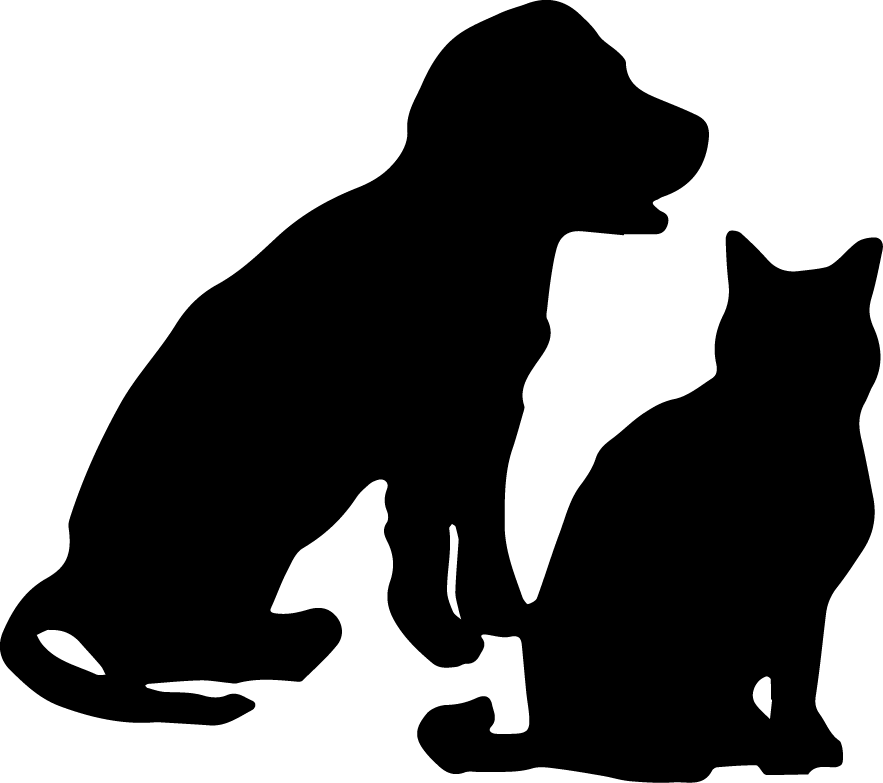 883x783 Veterinary Services Kettering, Ohio Kettering Animal Hospital Inc.