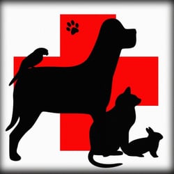 250x250 Animal Clinic Of Village Square