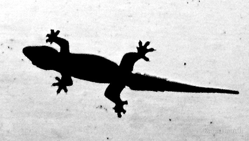 800x452 Stuck On You Hoi