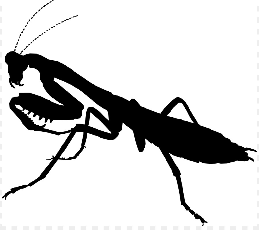 900x800 Mantis Praying Drawing Silhouette Clip Art