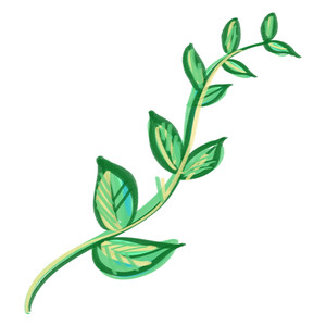 300x300 Silhouette Design Store