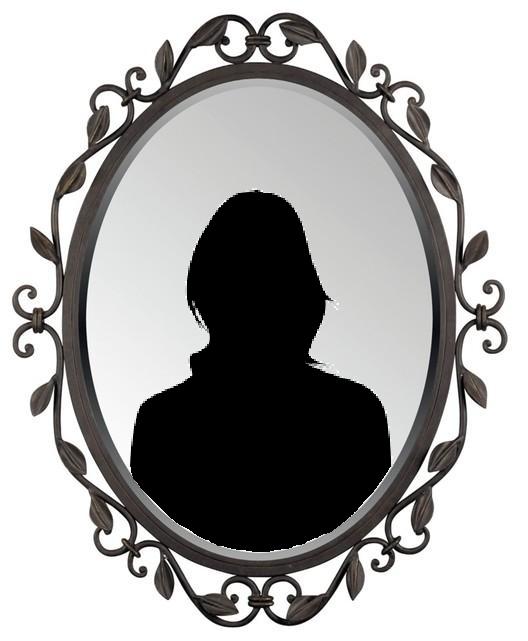 528x641 The Man Who Saw His Double In The Mirror