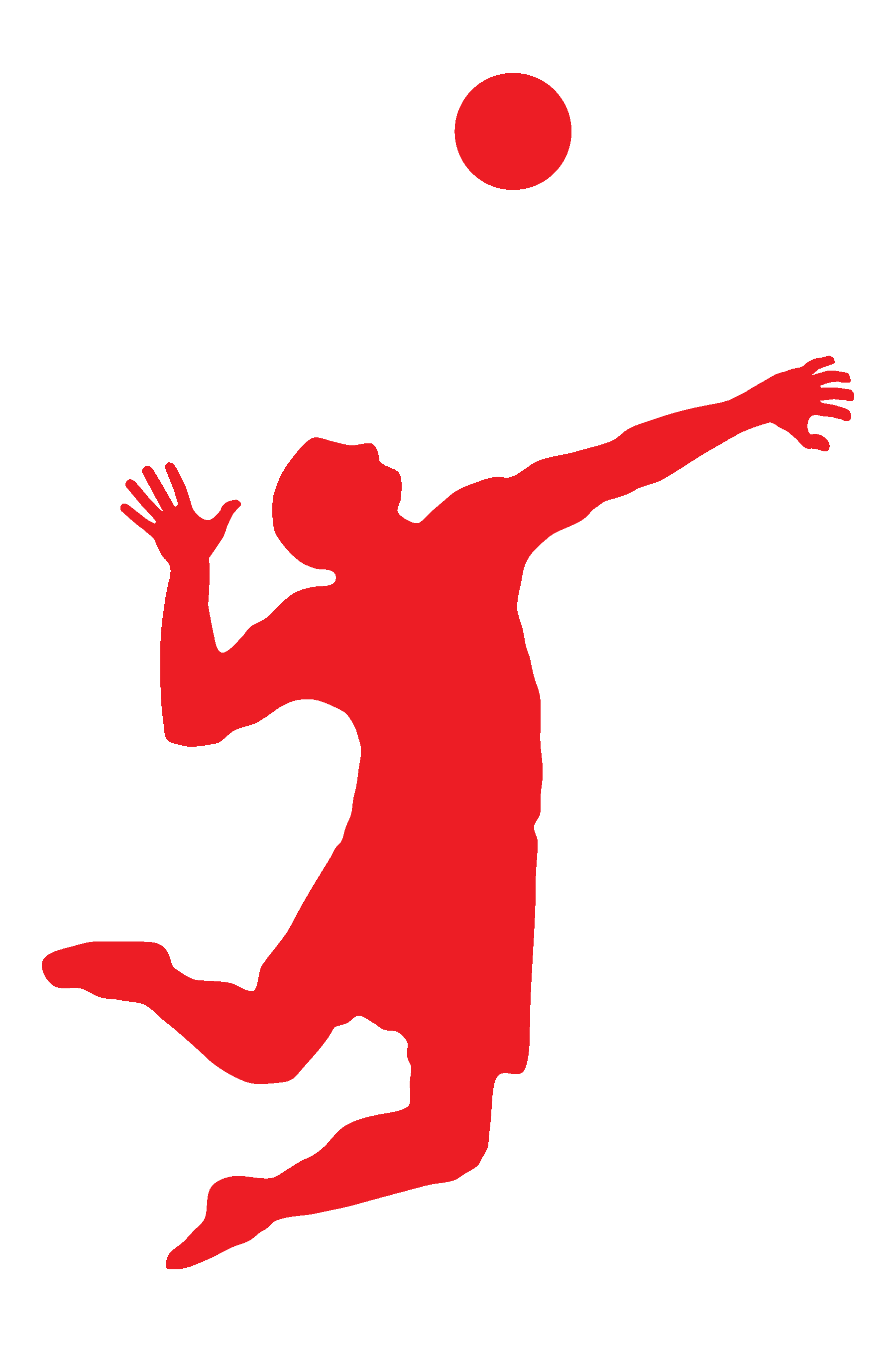 1800x2700 Pool Volleyball Home