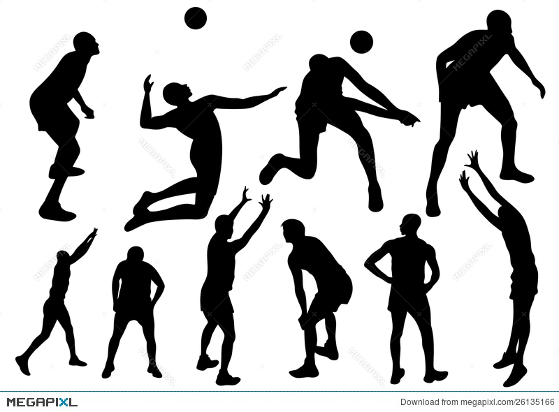 800x590 Volleyball Vector Illustration 26135166